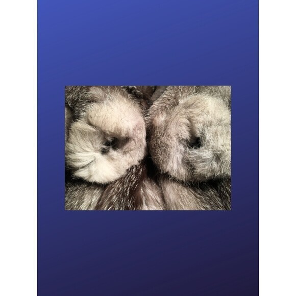 𝅺forgues FOURRURES Full Length INDIGO FOX Fur Coat, Women’s Size Large, EUC - Picture 8 of 10